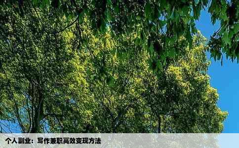 个人副业：写作兼职高效变现方法