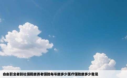 自由职业者到社保局缴养老保险每年缴多少医疗保险缴多少我是