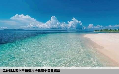 工行网上如何申请信用卡我属于自由职业