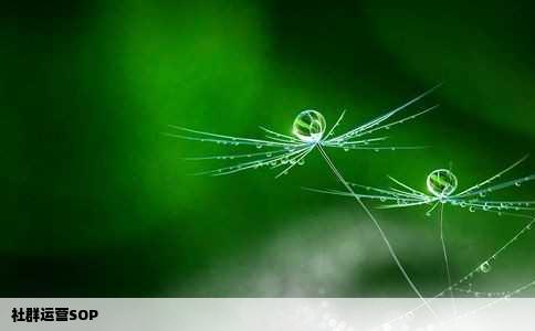社群运营SOP