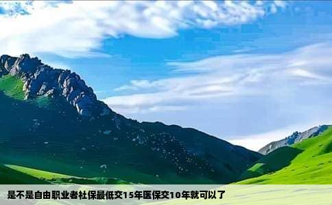 是不是自由职业者社保最低交15年医保交10年就可以了