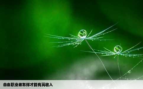 自由职业者怎样才能有高收入