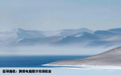 探寻商机：跨境电商细分市场机会