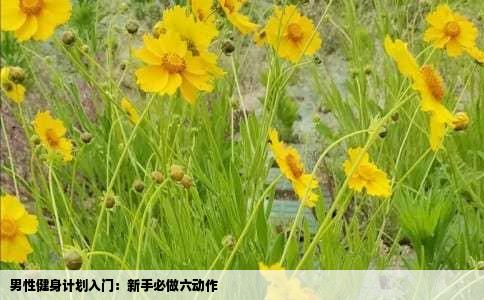 男性健身计划入门：新手必做六动作