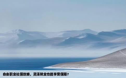 自由职业社保攻略，灵活就业也能享受保障？