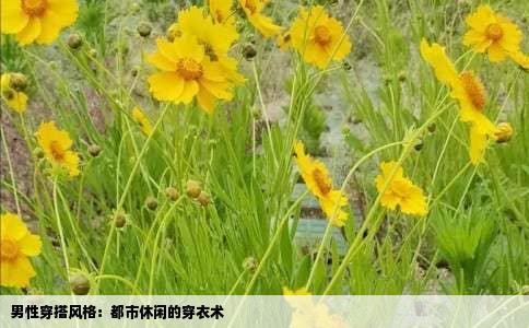 男性穿搭风格：都市休闲的穿衣术