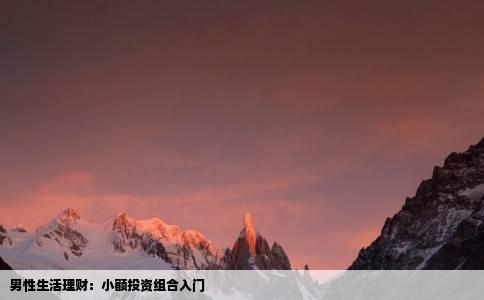 男性生活理财：小额投资组合入门