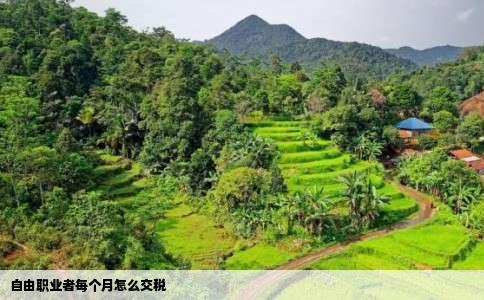 自由职业者每个月怎么交税