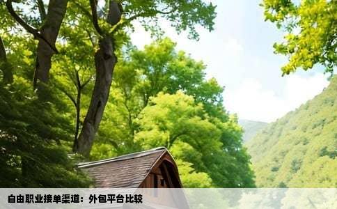 自由职业接单渠道：外包平台比较