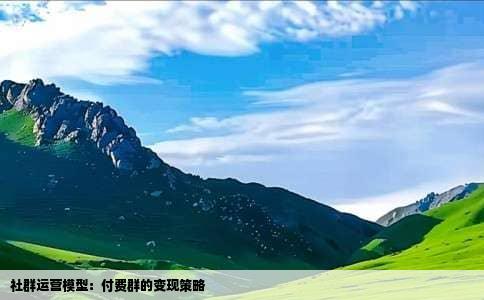 社群运营模型：付费群的变现策略