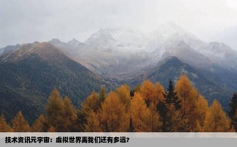 技术资讯元宇宙：虚拟世界离我们还有多远？