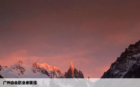 广州自由职业者医保