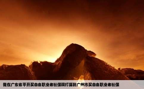 我在广东省平开买自由职业者社保现打算到广州市买自由职业者社保