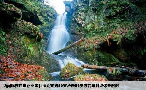 请问现在自由职业者社保要交到50岁还是55岁才能拿到退休金谢谢
