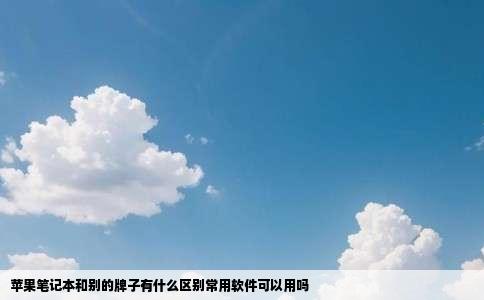 苹果笔记本和别的牌子有什么区别常用软件可以用吗