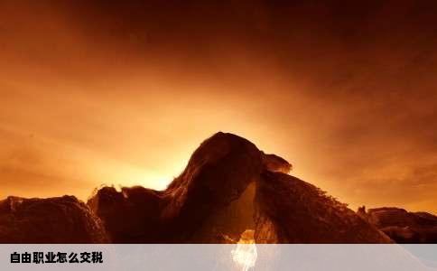 自由职业怎么交税