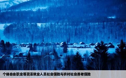 个体自由职业等灵活就业人员社会保险与农村社会养老保险