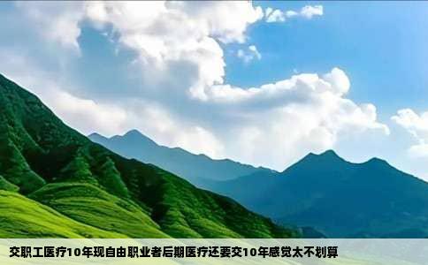 交职工医疗10年现自由职业者后期医疗还要交10年感觉太不划算