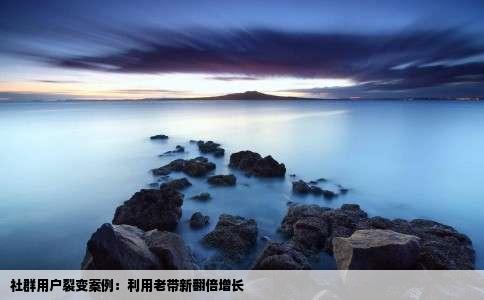 社群用户裂变案例：利用老带新翻倍增长