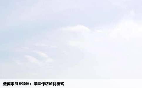 低成本创业项目：家庭作坊盈利模式