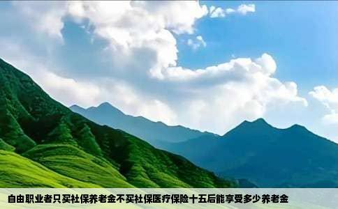 自由职业者只买社保养老金不买社保医疗保险十五后能享受多少养老金
