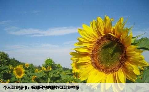 个人副业操作：短期回报的服务型副业推荐