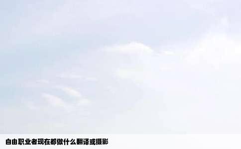 自由职业者现在都做什么翻译或摄影