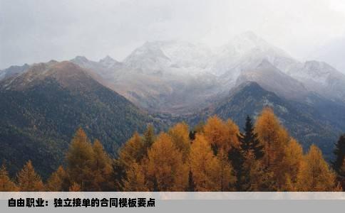 自由职业：独立接单的合同模板要点