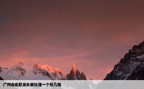 广州自由职业补缴社保一个月几钱