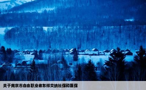 关于南京市自由职业者怎样交纳社保和医保