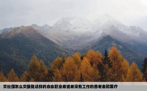 交社保怎么交像我这样的自由职业者或者没有工作的养老金和医疗