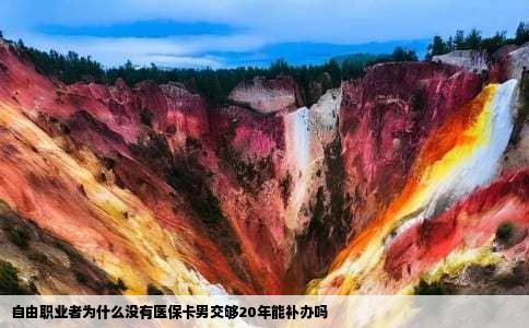 自由职业者为什么没有医保卡男交够20年能补办吗